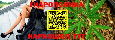 ГАЛЛЮЦИНОГЕННЫЕ ГРИБЫ Обь